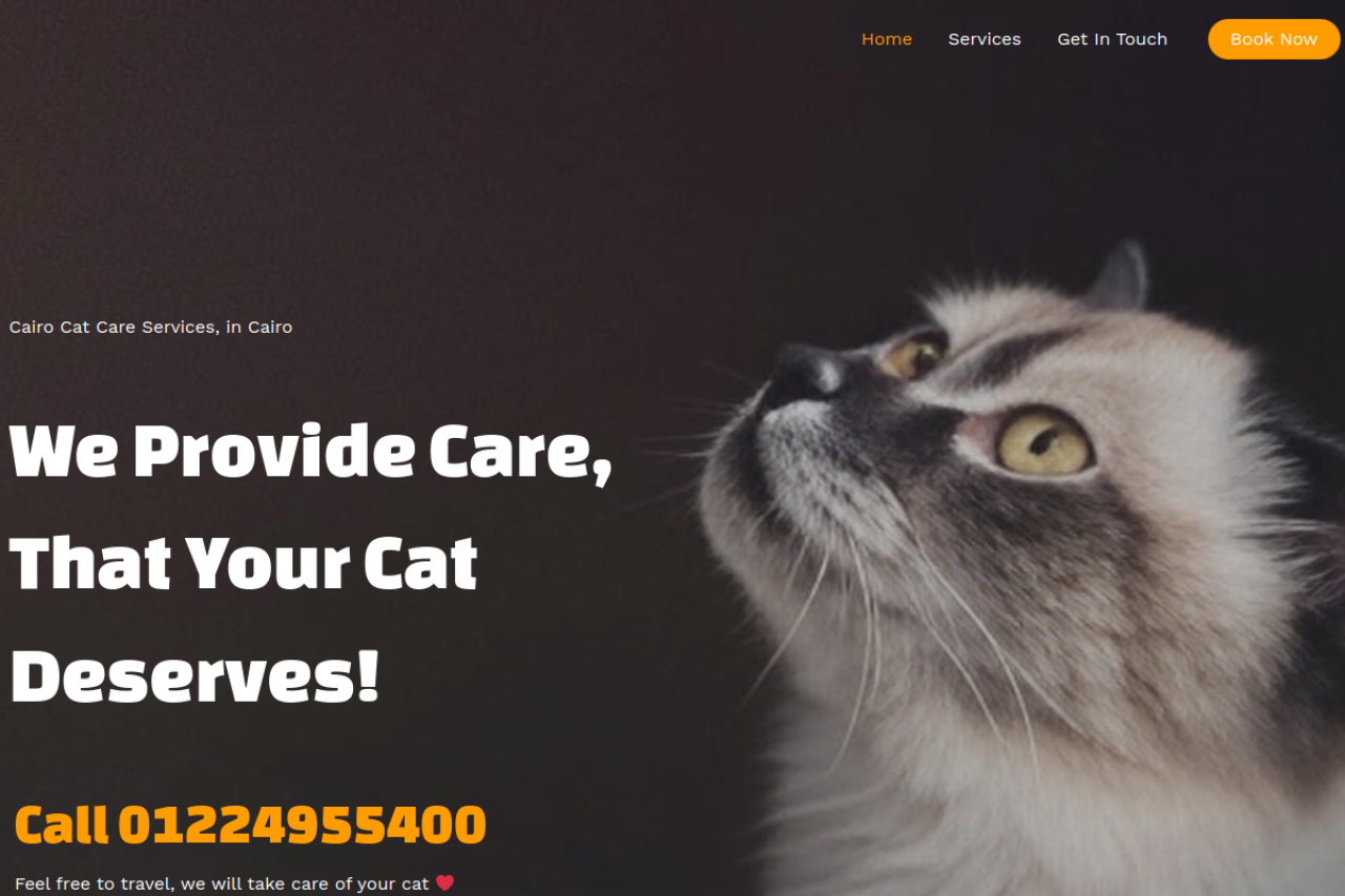 cairo-cat-thumbnail